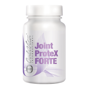 Joint Protex Forte, Giętkość I Elastyczność Stawów, Glukozamina